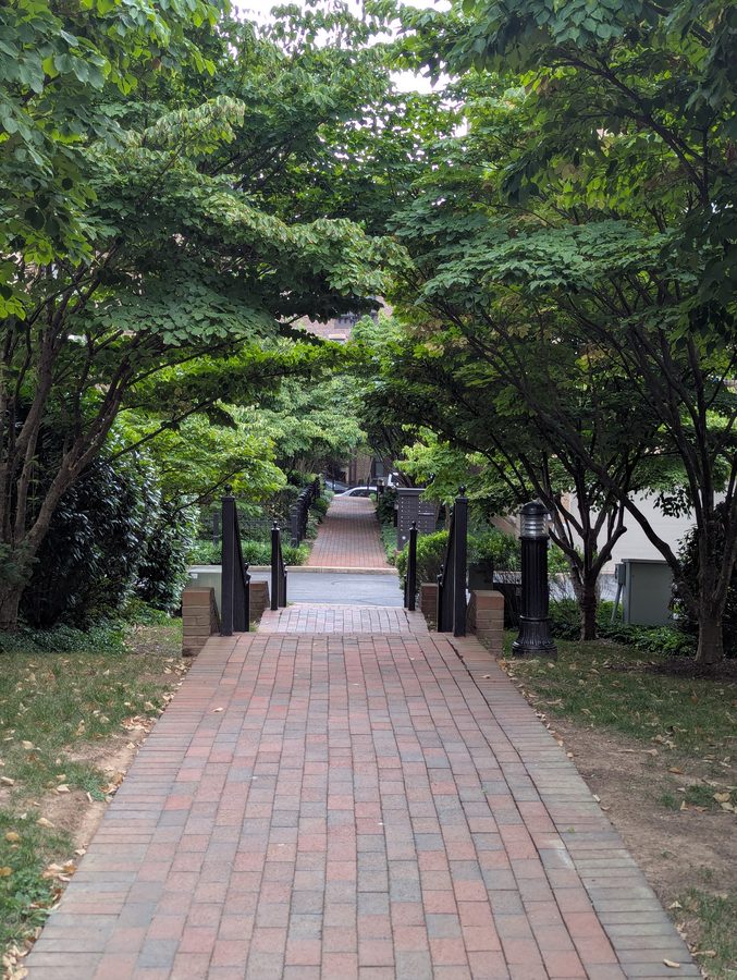Tree-covered brick walkway leading through the community